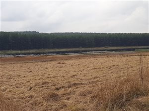 3922 m² Land available in Albert Falls