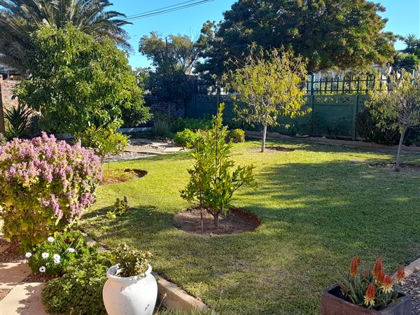 3 Bedroom House 3 Bedroom House