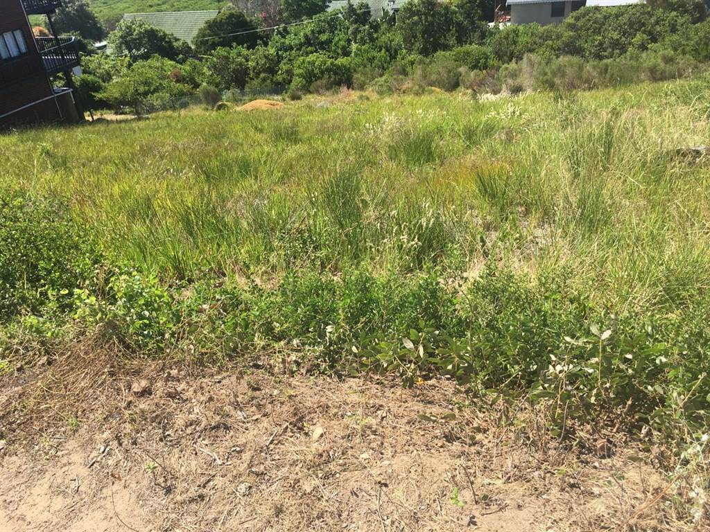 1053 m² Land available in Brenton on Sea photo number 9