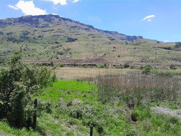 133 ha Land available in Howick