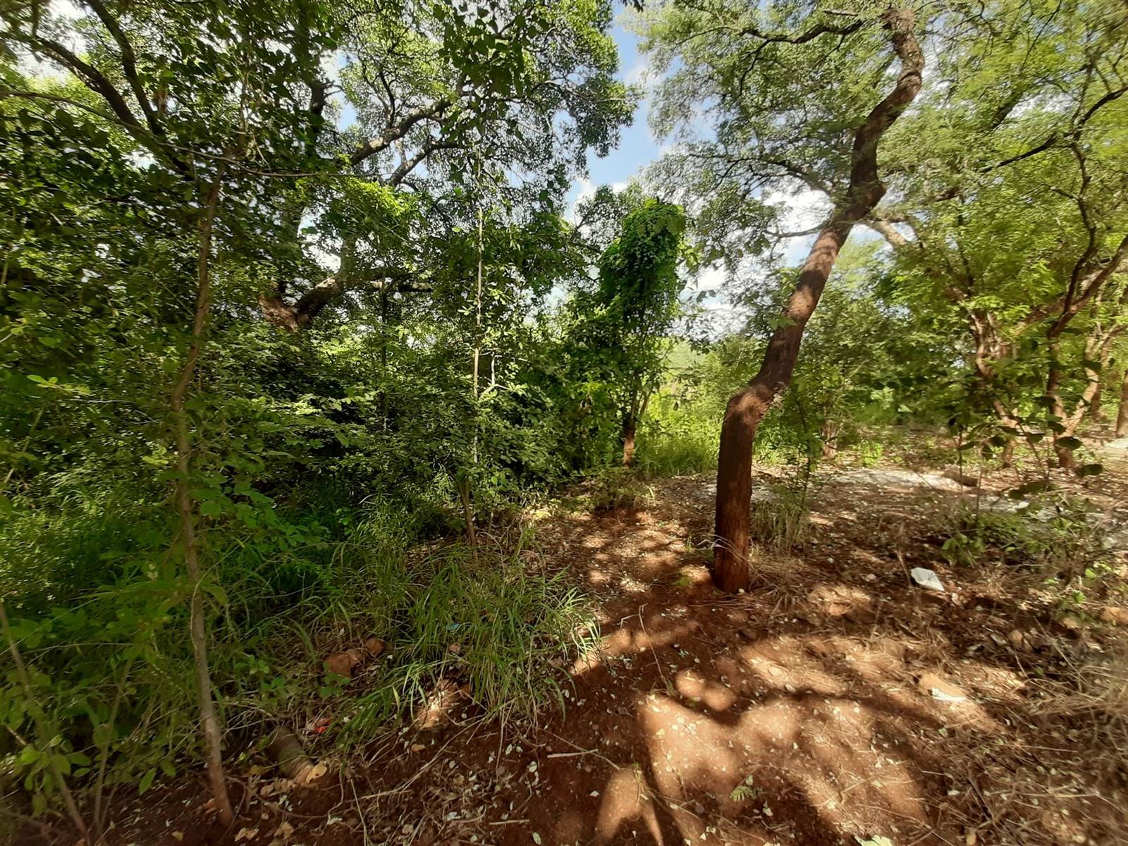2464 m² Land available in Gravelotte photo number 9