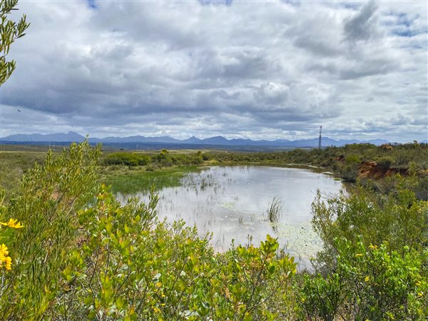 480 ha Farm