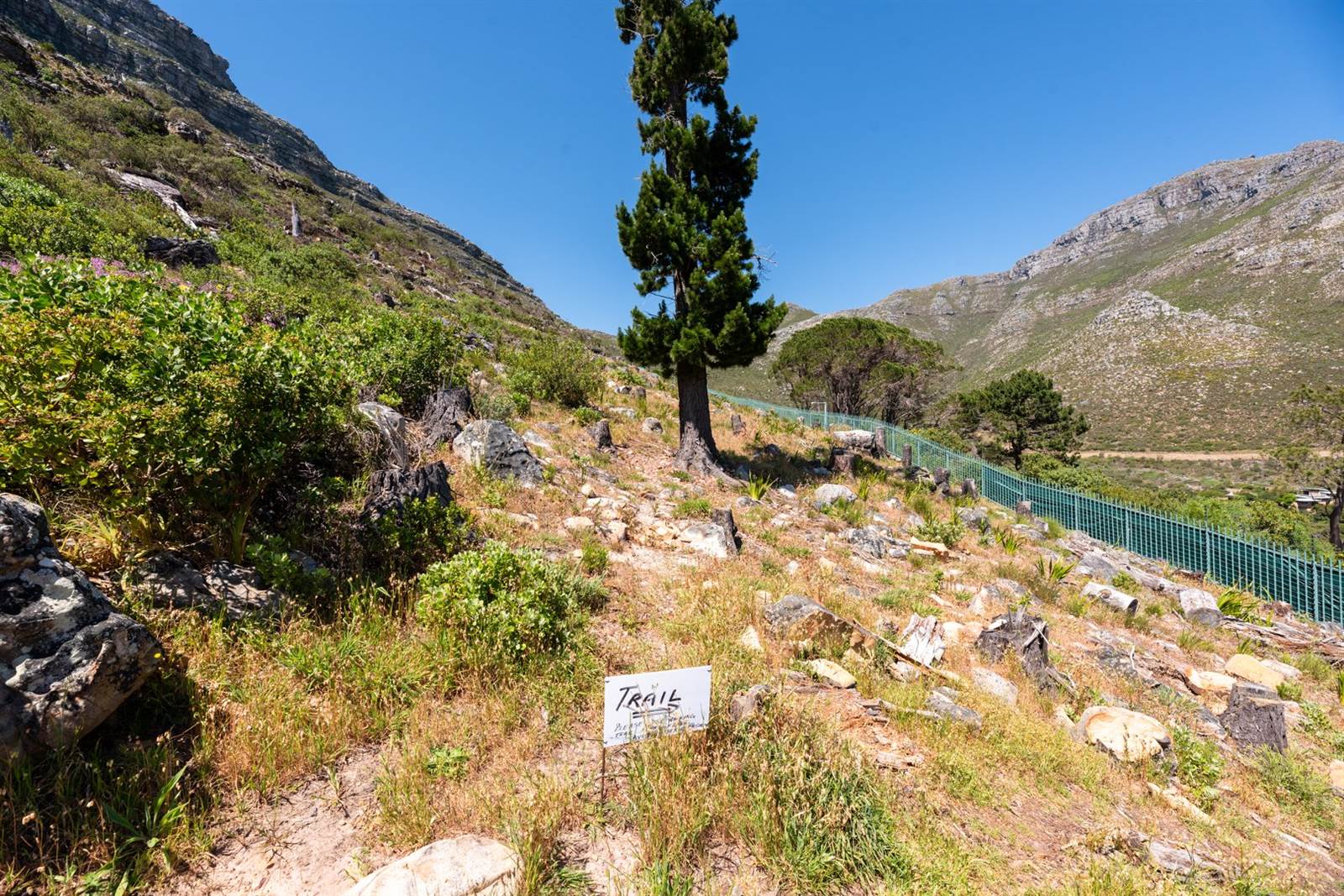 2.1 ha Land available in Hout Bay and surrounds photo number 12