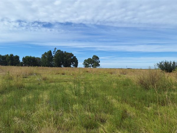 2.1 ha Land available in Quaggafontein