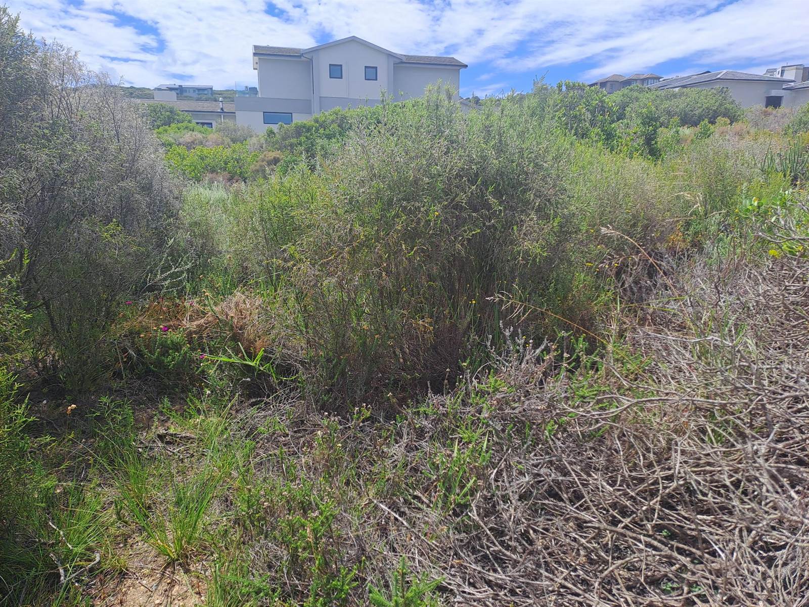 2486 m² Land available in Breakwater Bay Eco Estate photo number 5