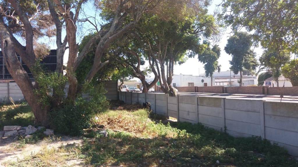2100 m² Land available in Saldanha photo number 6