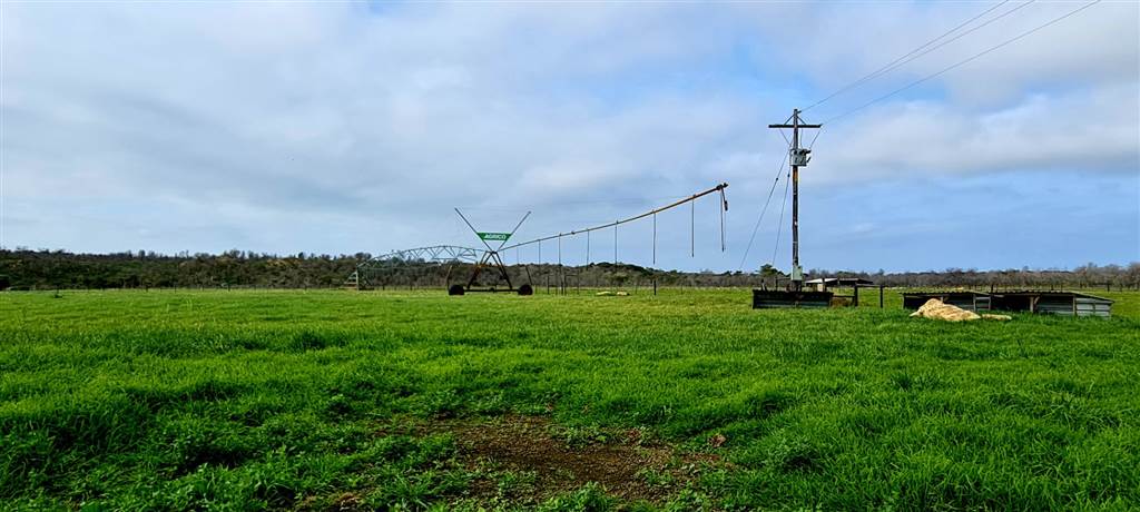 5.1 ha Farm in St Francis Bay photo number 4