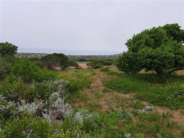 1309 m² Land available in Great Brak River
