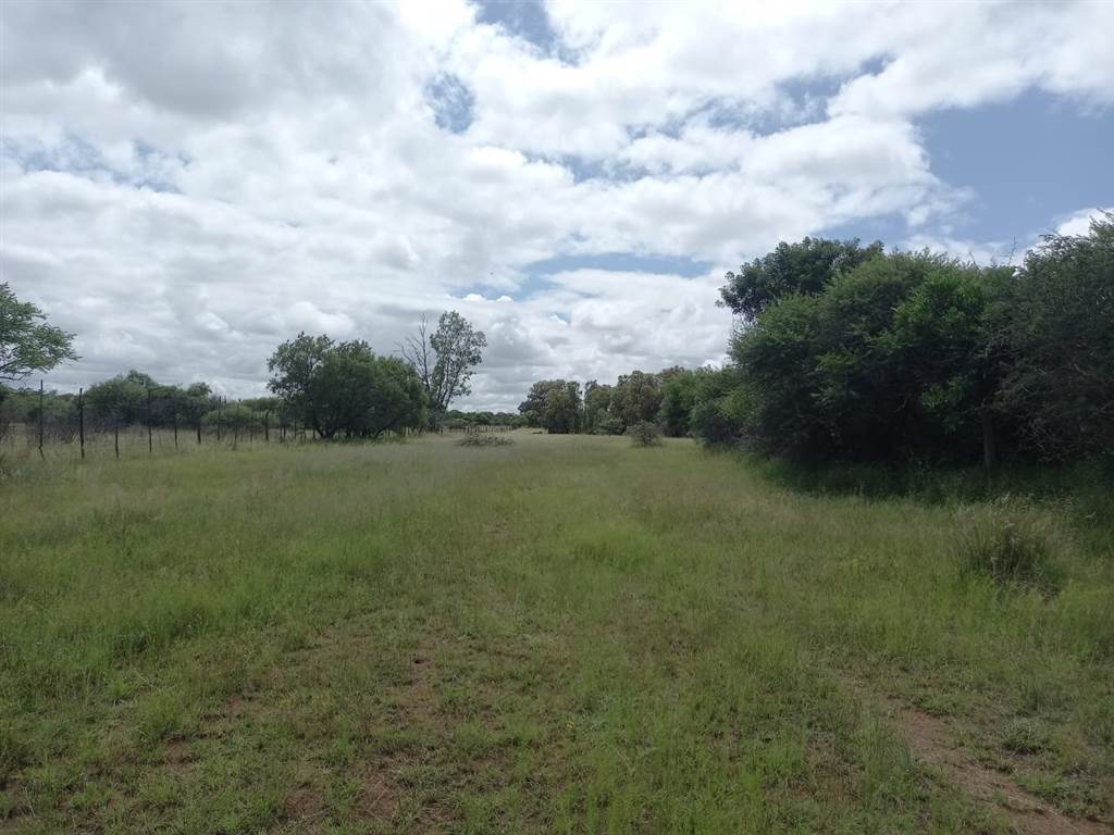 42 ha Farm in Dinokeng photo number 5