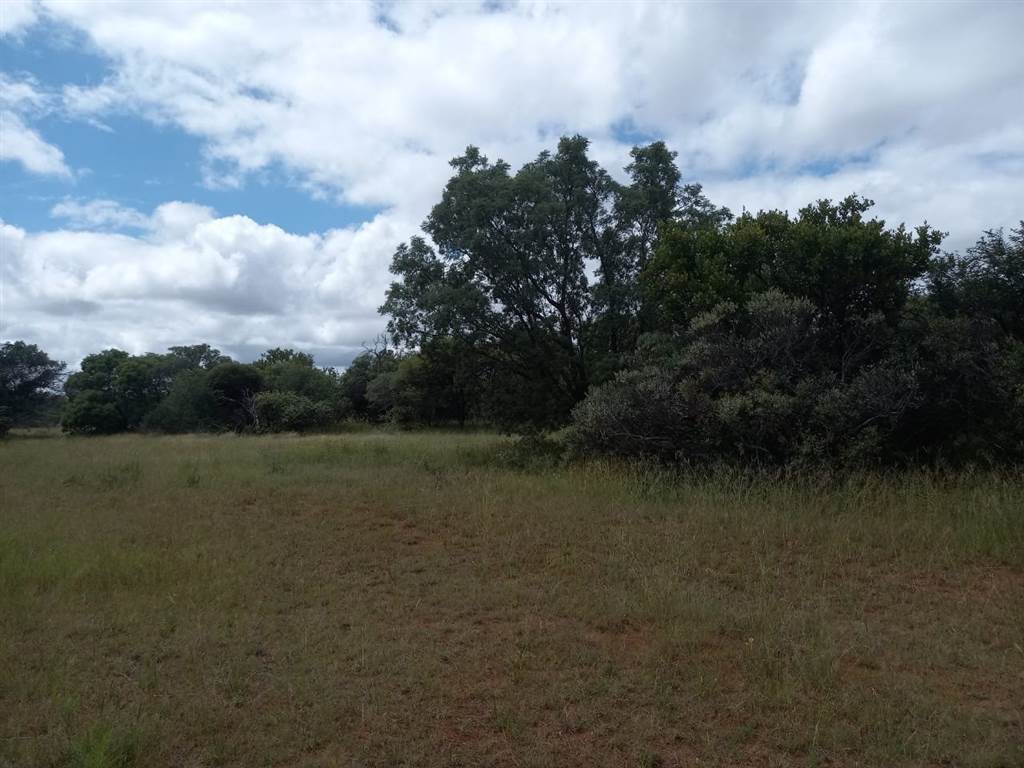 42 ha Farm in Dinokeng photo number 3