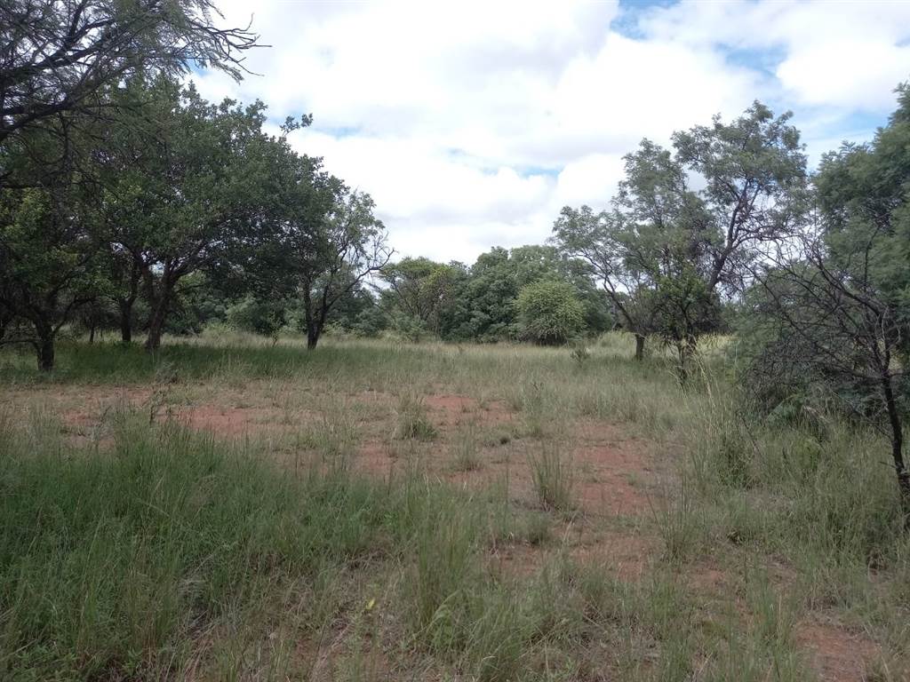 42 ha Farm in Dinokeng photo number 4