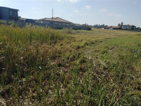 1032 m² Land available in Riversdale