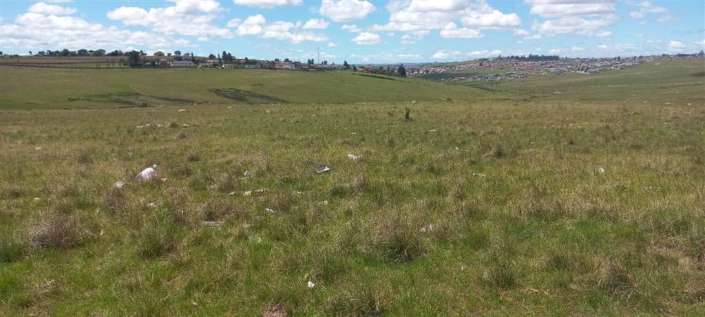 1095 m² Land available in Southernwood photo number 5