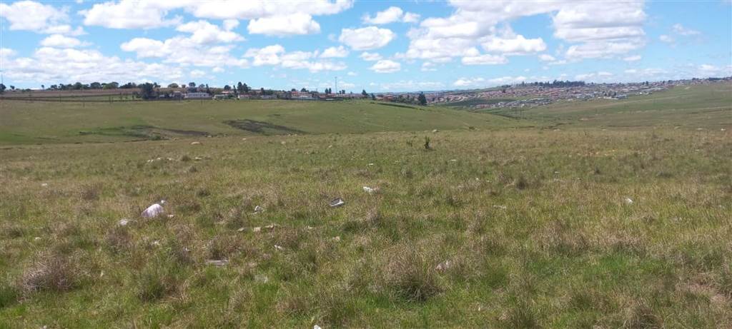 1095 m² Land available in Southernwood photo number 8