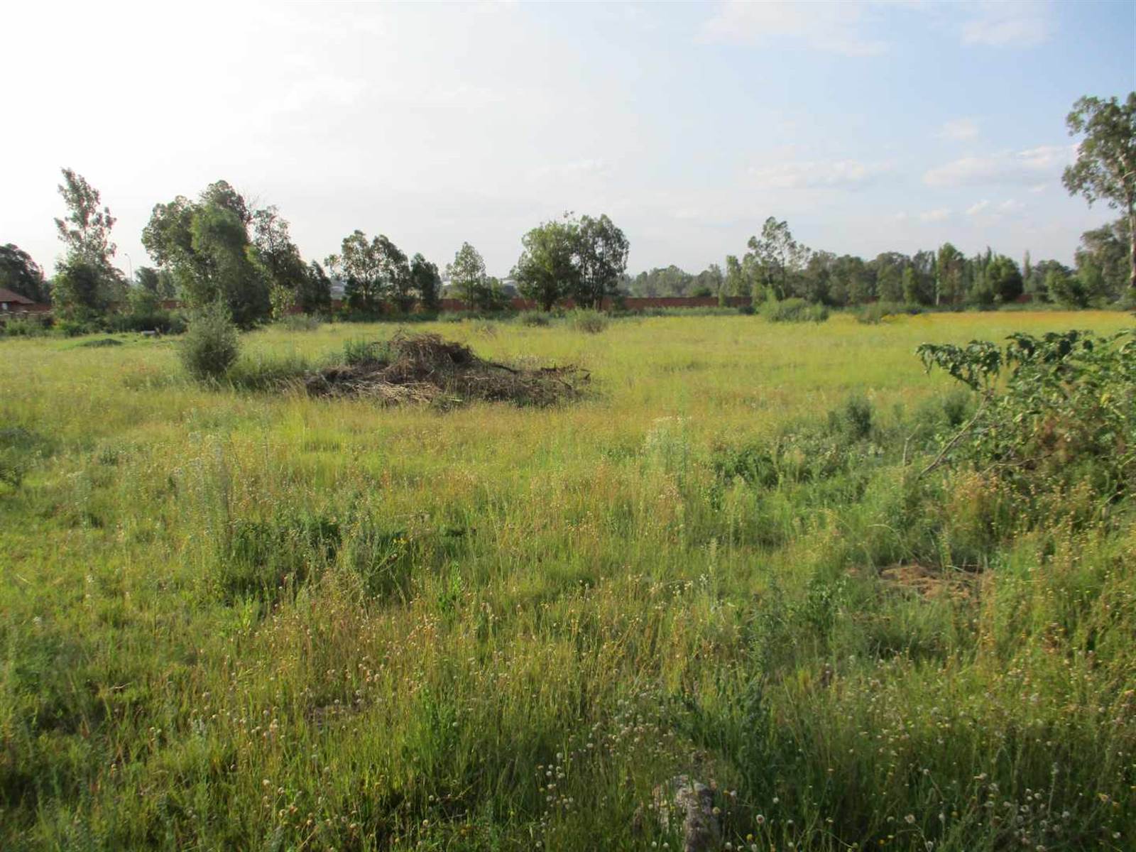 1.5 ha Land available in Riversdale photo number 4