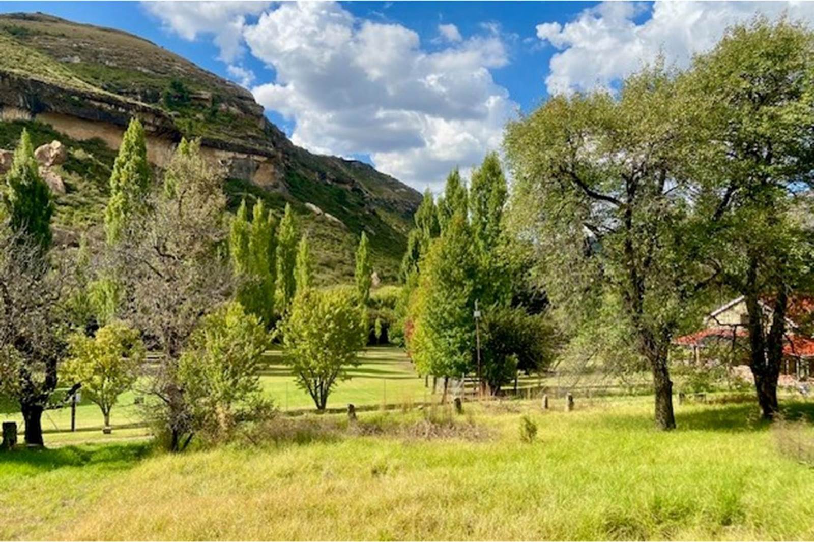 1027 m² Land available in Clarens photo number 7