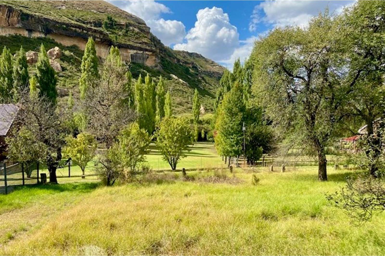 1027 m² Land available in Clarens photo number 9