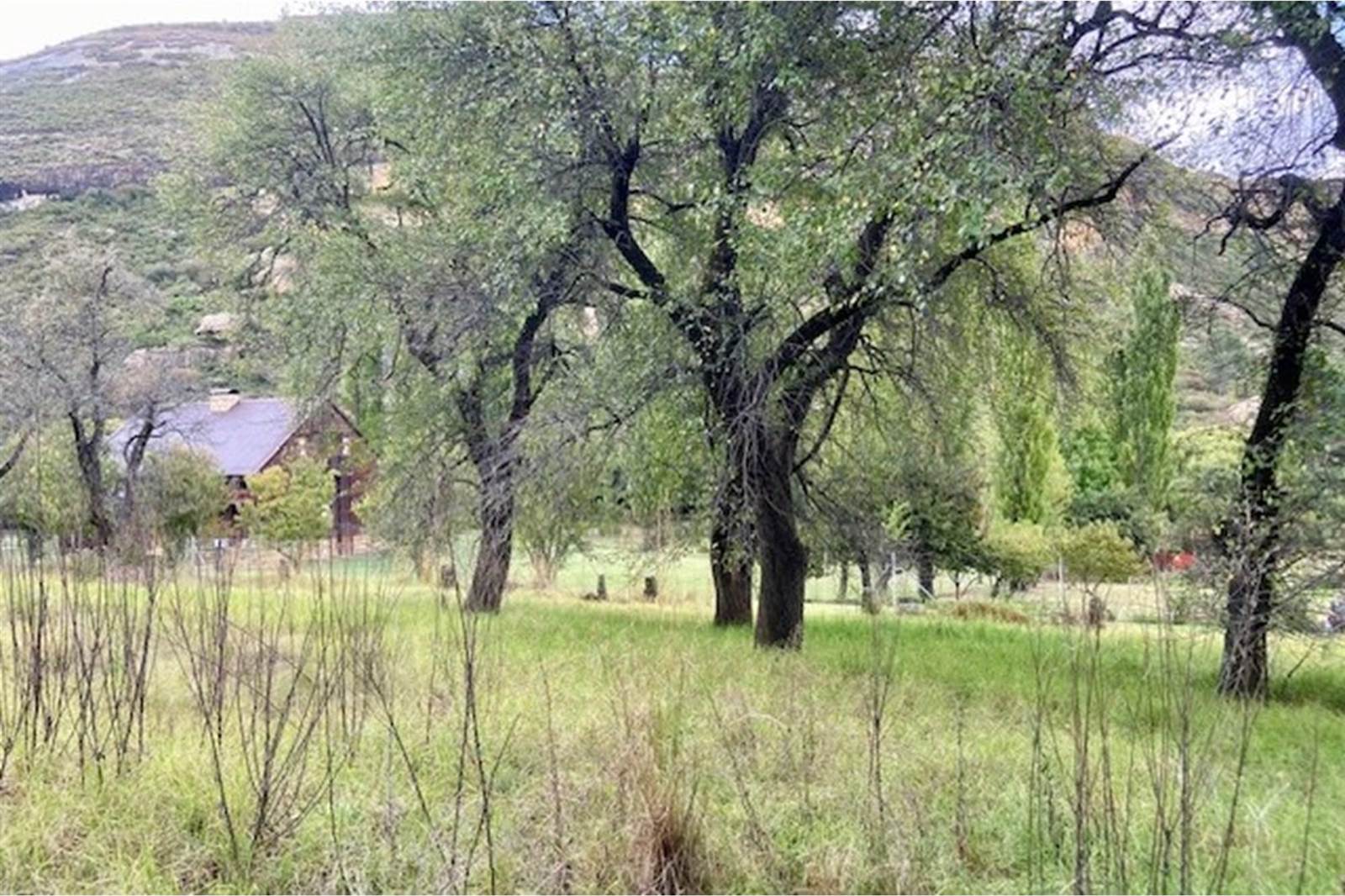 1027 m² Land available in Clarens photo number 13