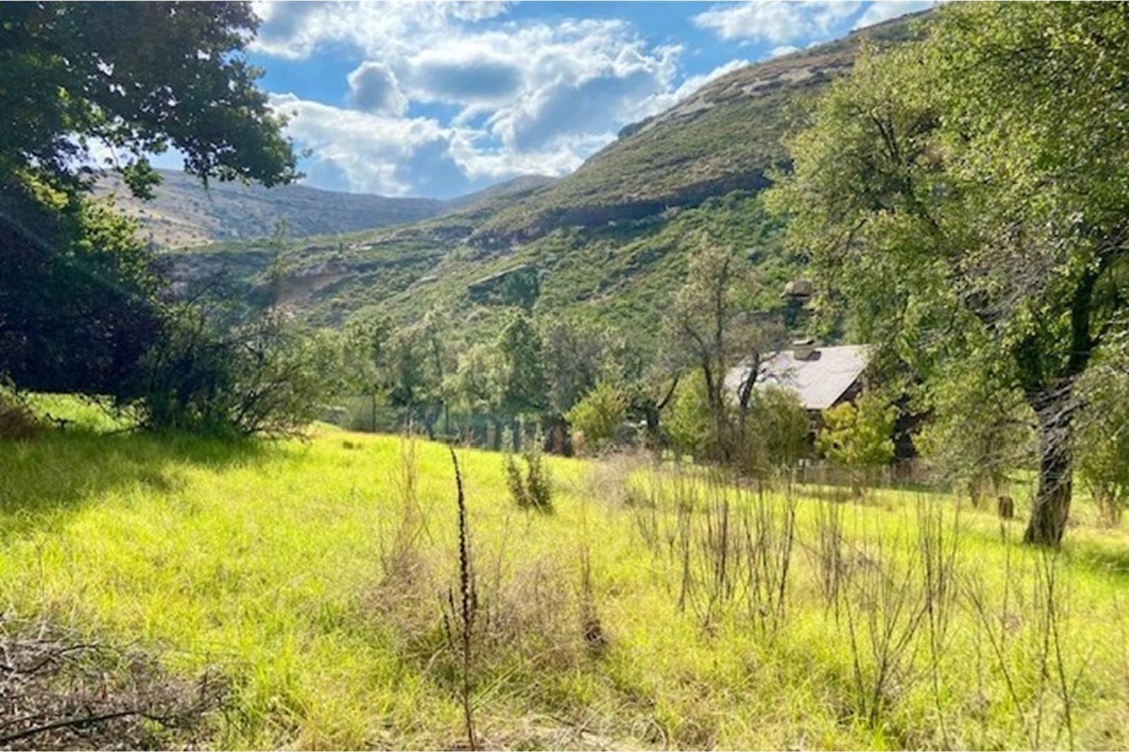 1027 m² Land available in Clarens photo number 1