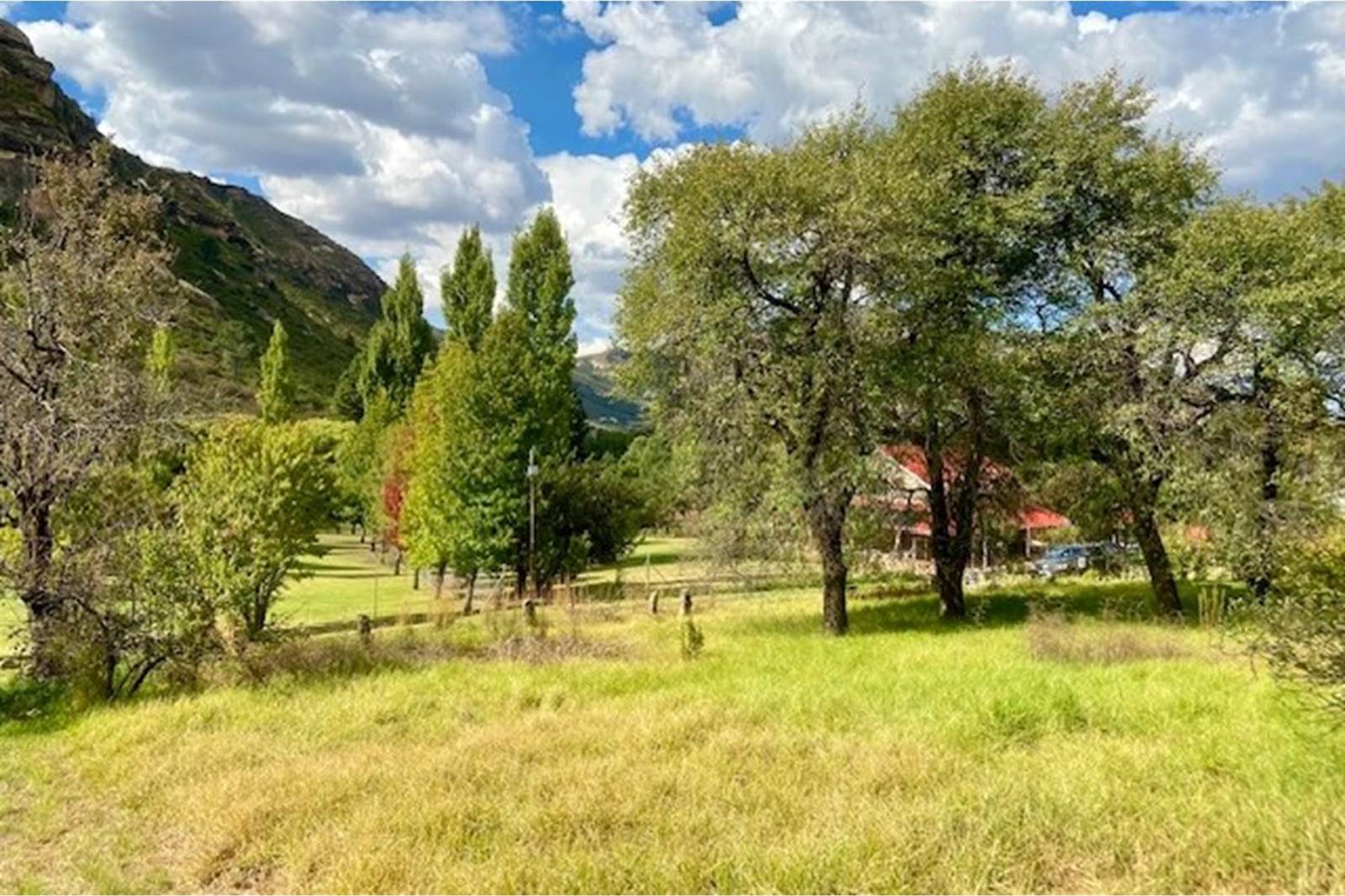 1027 m² Land available in Clarens photo number 8