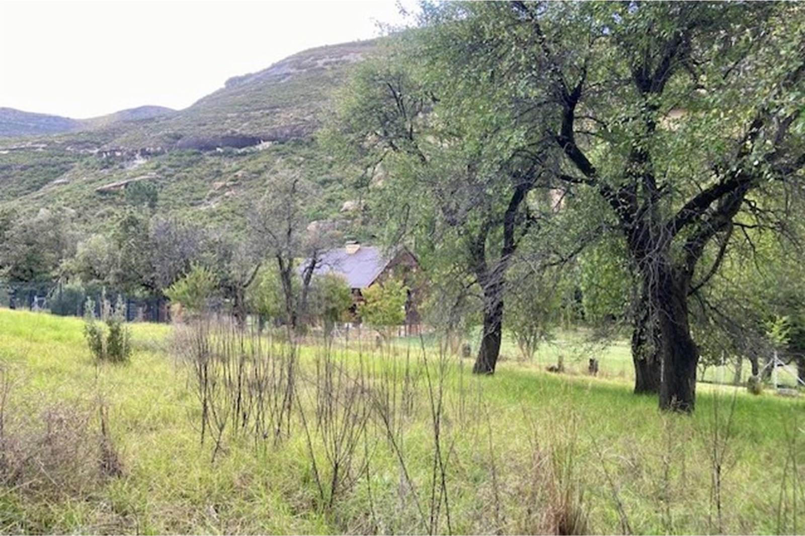 1027 m² Land available in Clarens photo number 14