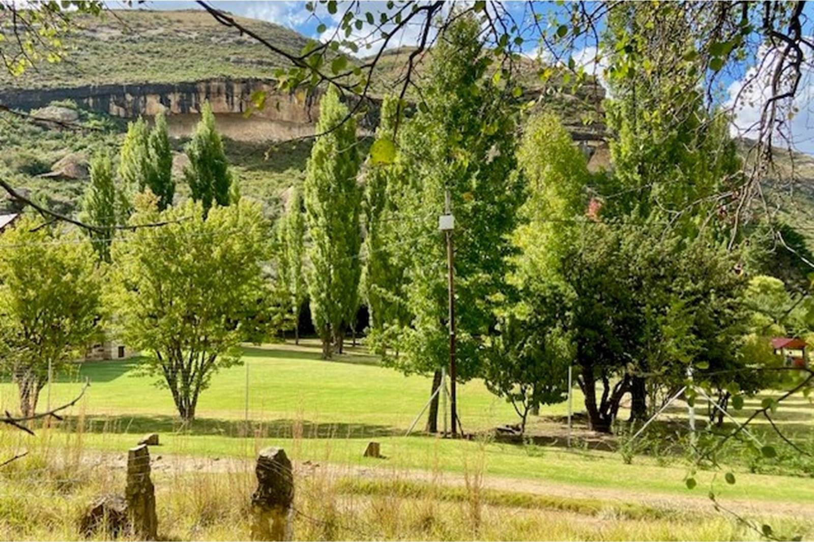 1027 m² Land available in Clarens photo number 15