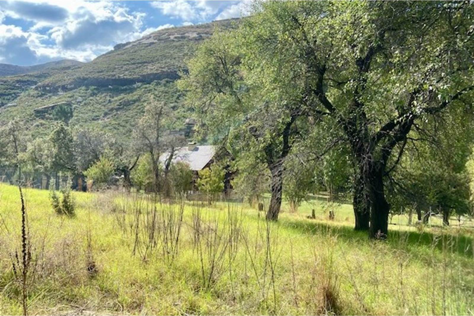 1027 m² Land available in Clarens photo number 10