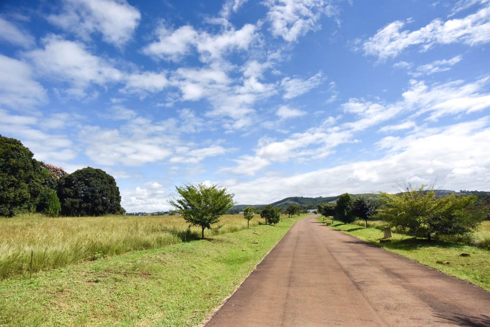 1460 m² Land available in Howick photo number 2