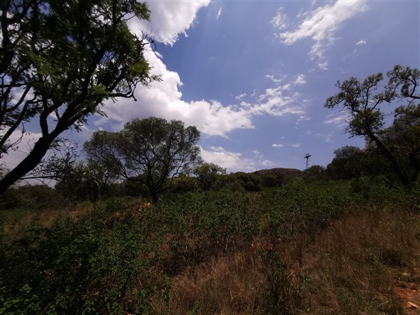 8600 m² Land available in Melodie