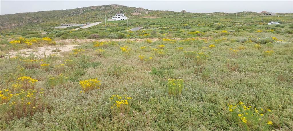 324 m² Land available in St Helena Views photo number 8