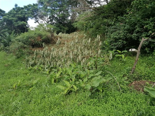 1 471 m² Land 1 471 m² Land