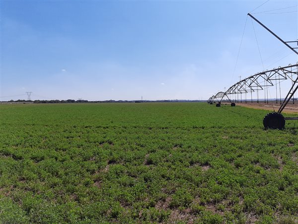9 000 m² Land 9 000 m² Land