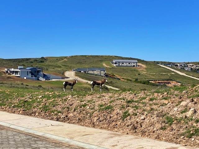 545 m² Land available in Hartenbos photo number 8