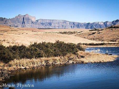 68.8 ha Land available in Mooi River photo number 7