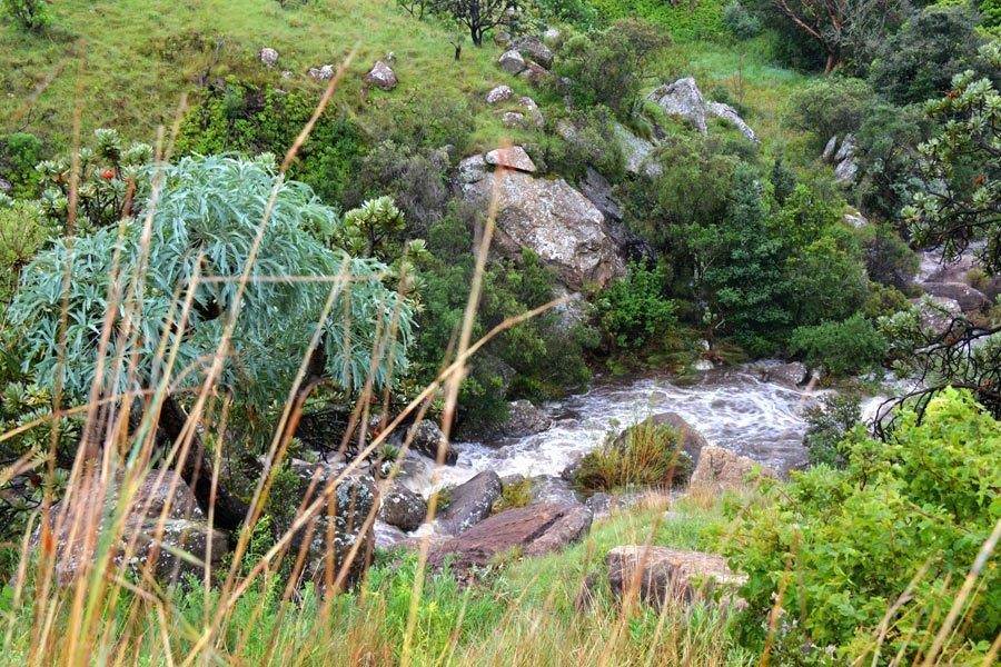 68.8 ha Land available in Mooi River photo number 8