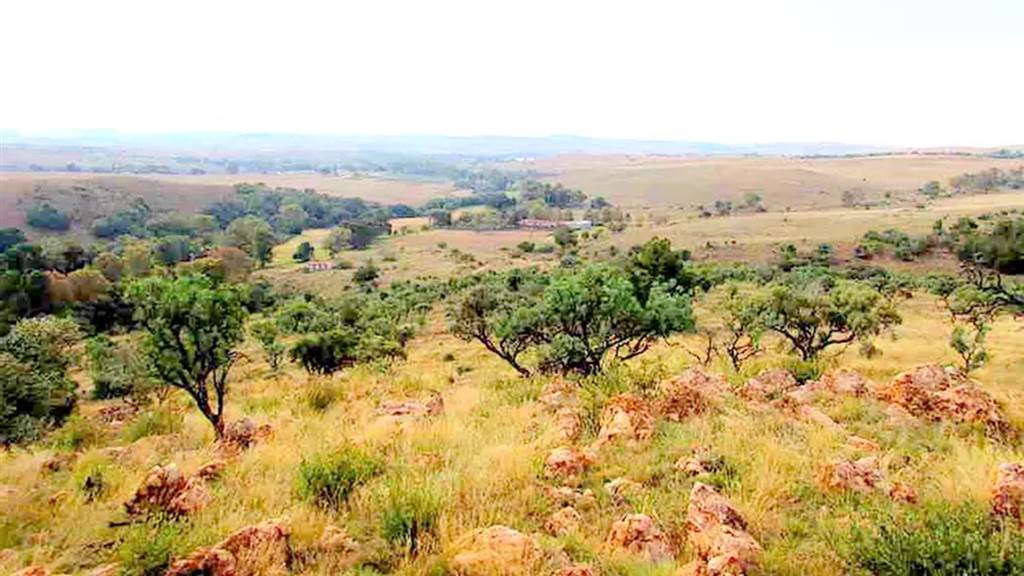 25.9 ha Farm in Sterkfontein and surrounds photo number 23