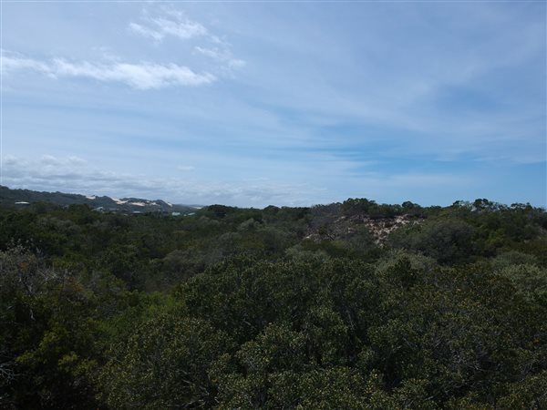 1150 m² Land available in Gamtoos Mouth