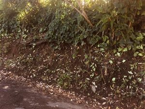 1310 m² Land available in Pennington