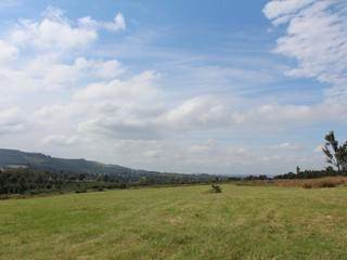 25 ha Land available in Tweedie photo number 3