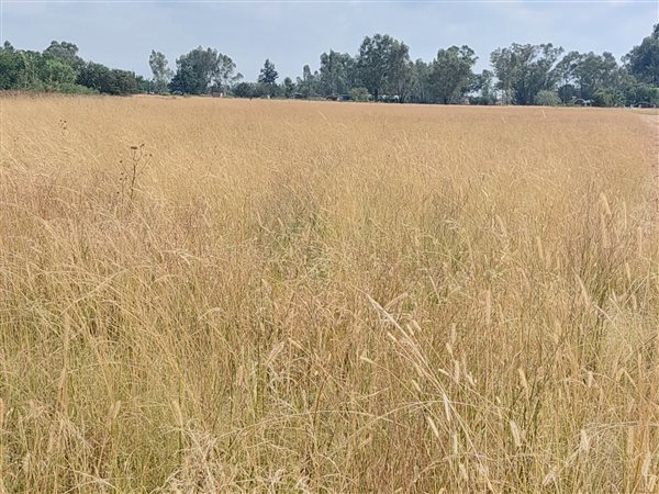 3578 ha Land available in Nanescol