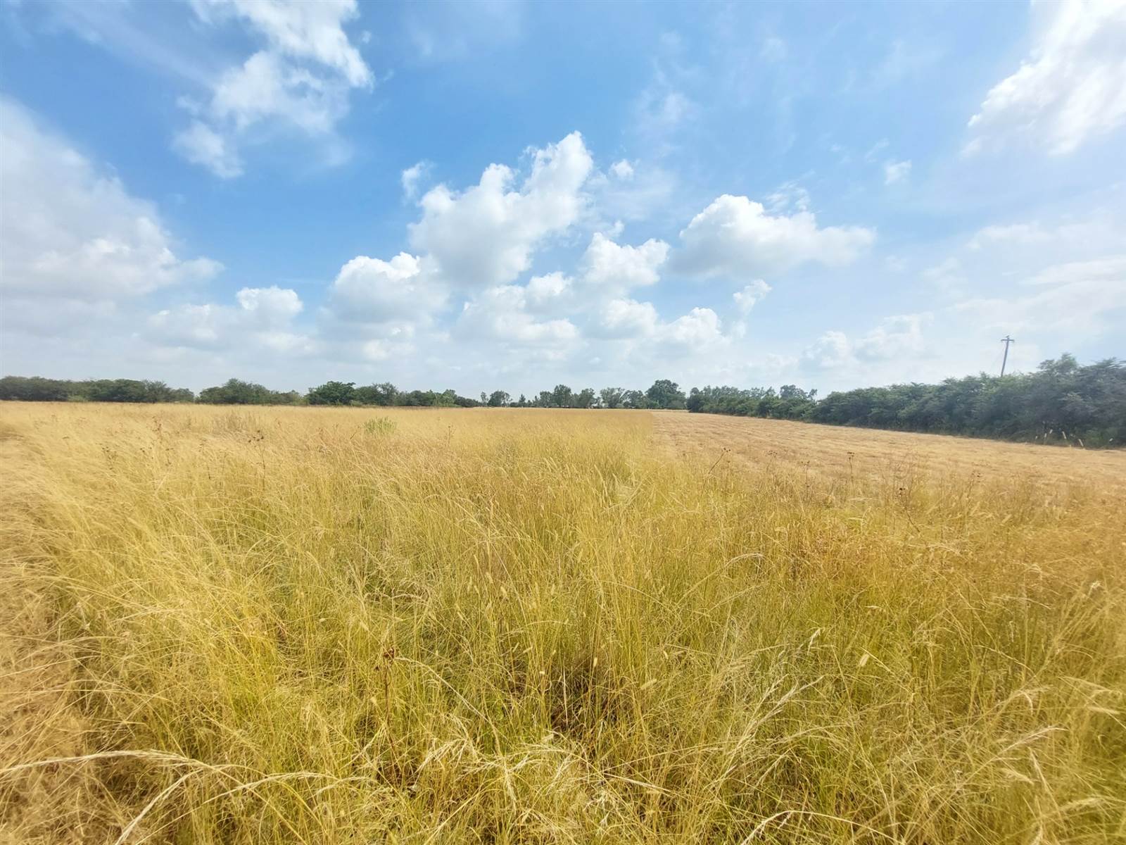 3578 ha Land available in Nanescol photo number 3