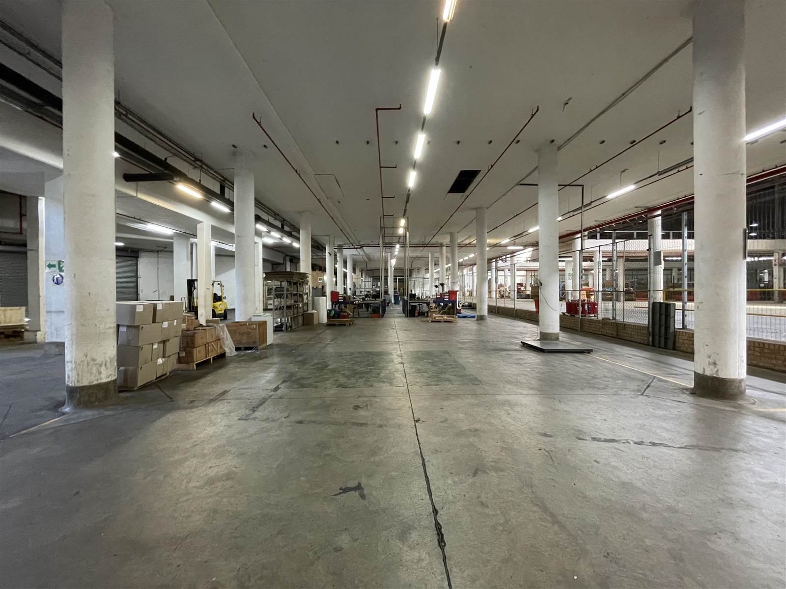 14884  m² Industrial space in City Deep photo number 7