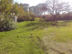 1.2 ha Land available in Vischkuil