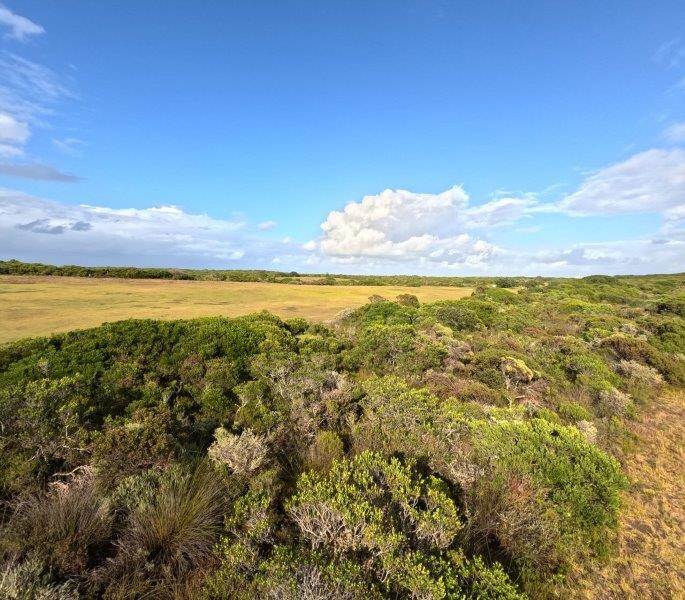 605 m² Land available in Kleinbaai photo number 12