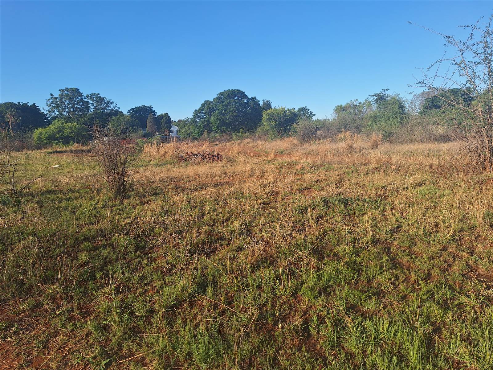 770 m² Land available in Mooinooi photo number 5