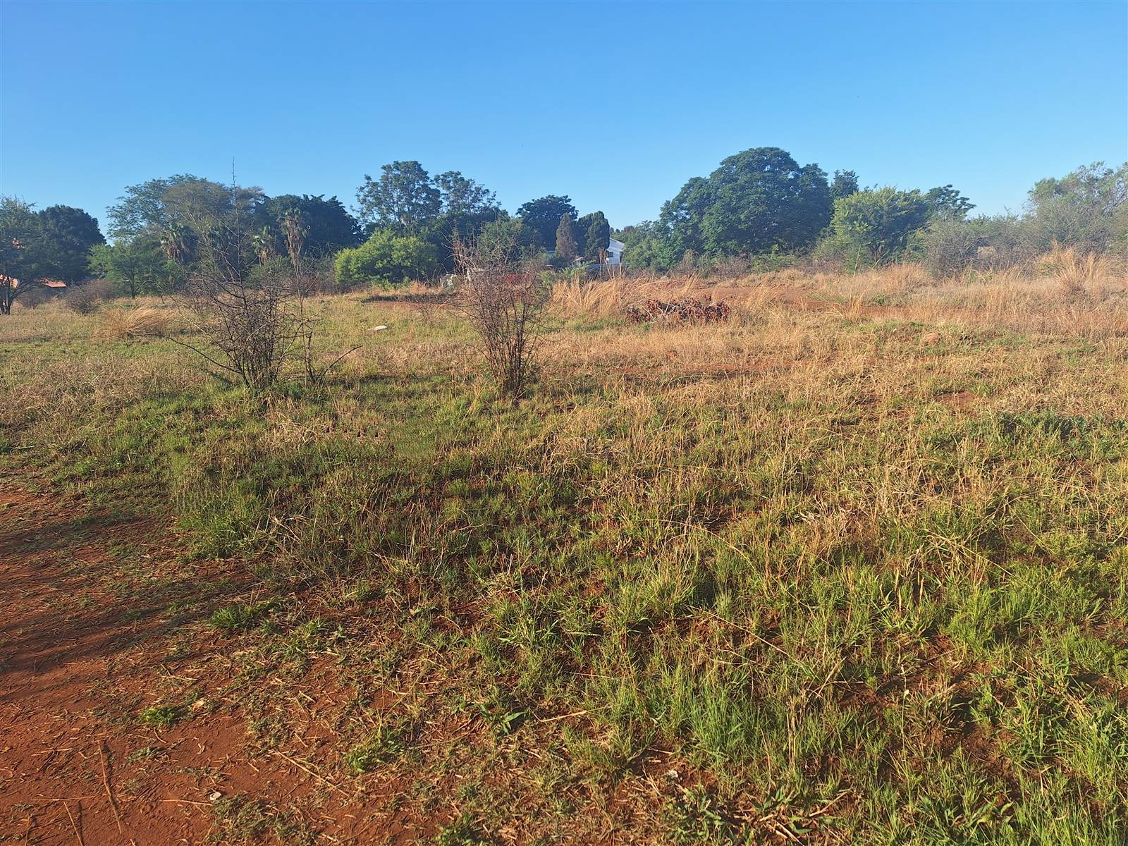 770 m² Land available in Mooinooi photo number 3