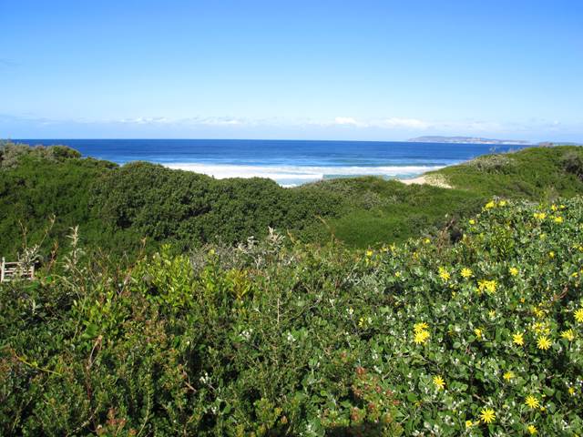 653 m² Land available in Keurboomstrand photo number 4