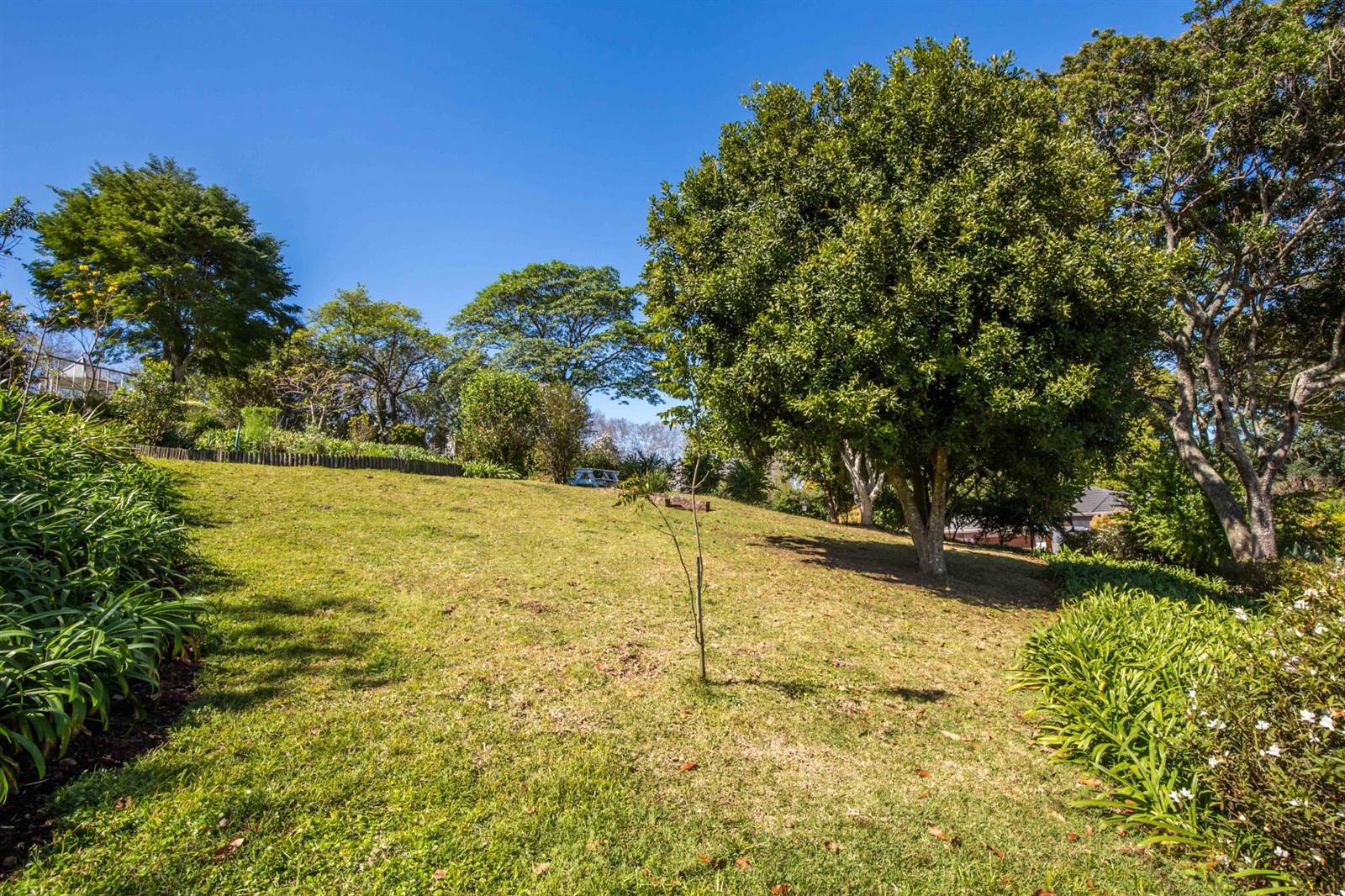 1342 m² Land available in Winston Park photo number 1