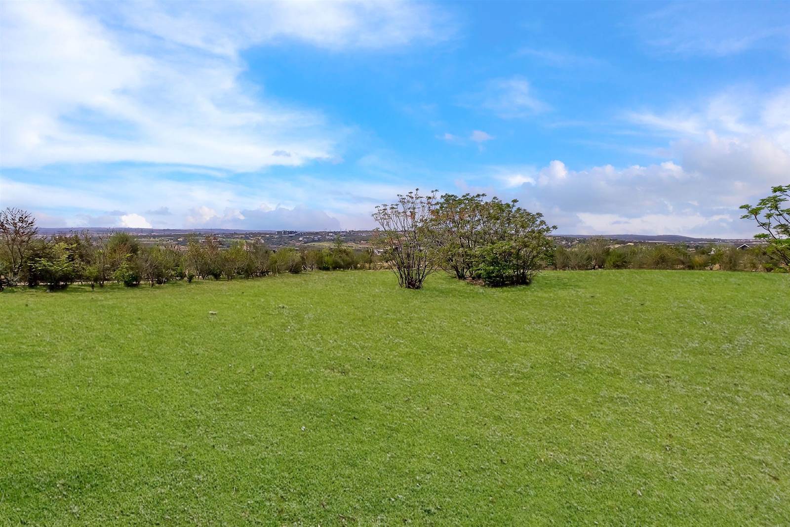 1593 m² Land available in Steyn City photo number 2