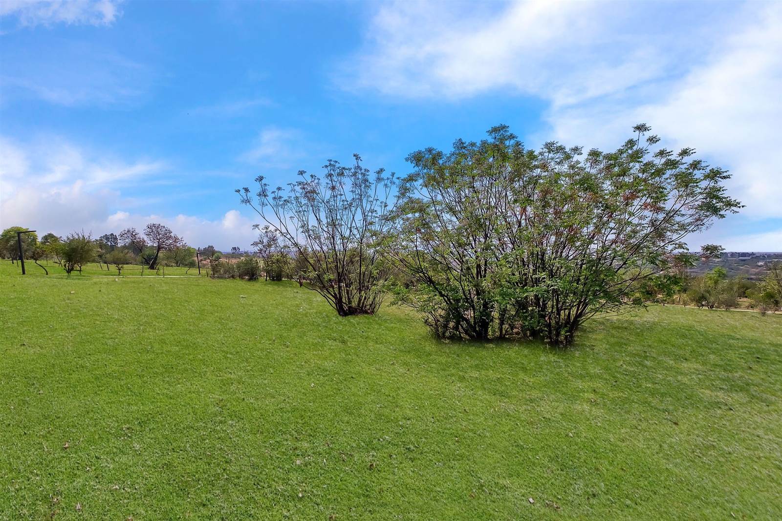 1593 m² Land available in Steyn City photo number 9